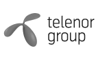 Sprawa №1 biurze Telenor Ukraina. Wsparcie IT kompletnego cyklu: opracowywanie, aktualizowanie, wsparcie dla użytkowników, doradztwo